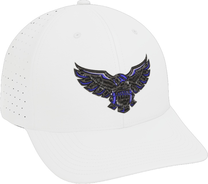 BALL HAWKS CAP