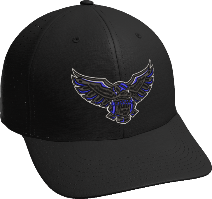 BALL HAWKS CAP