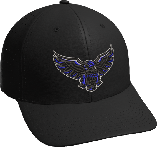 BALL HAWKS CAP